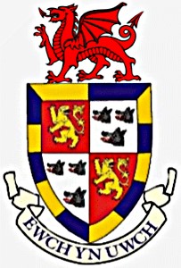 Radnorshire Indoor Bowls Association